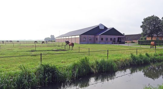 Paardenpension De Groot, Lutterstraat Lithoijen, Noord-Brabant
