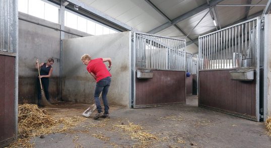 hygiëne in en om de paardenstal