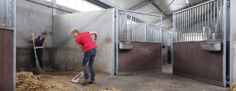 hygiëne in en om de paardenstal